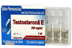 testosterone_enanthate_balkan_pharmaceuticals