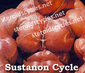 Sustanon Cycle