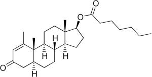 best steroid cycle