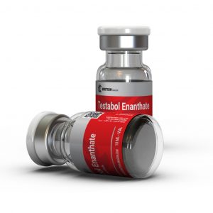 Testosterone Enanthate Cycle