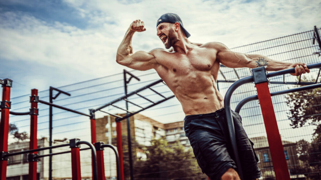 Best Steroid Cycle To Gain Muscle Best Injectable Steroid Cycle for Muscle Gain
