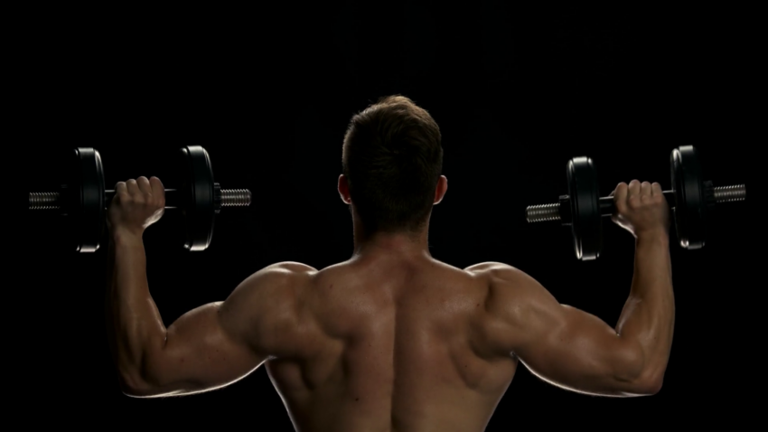 oral steroids for muscle mass